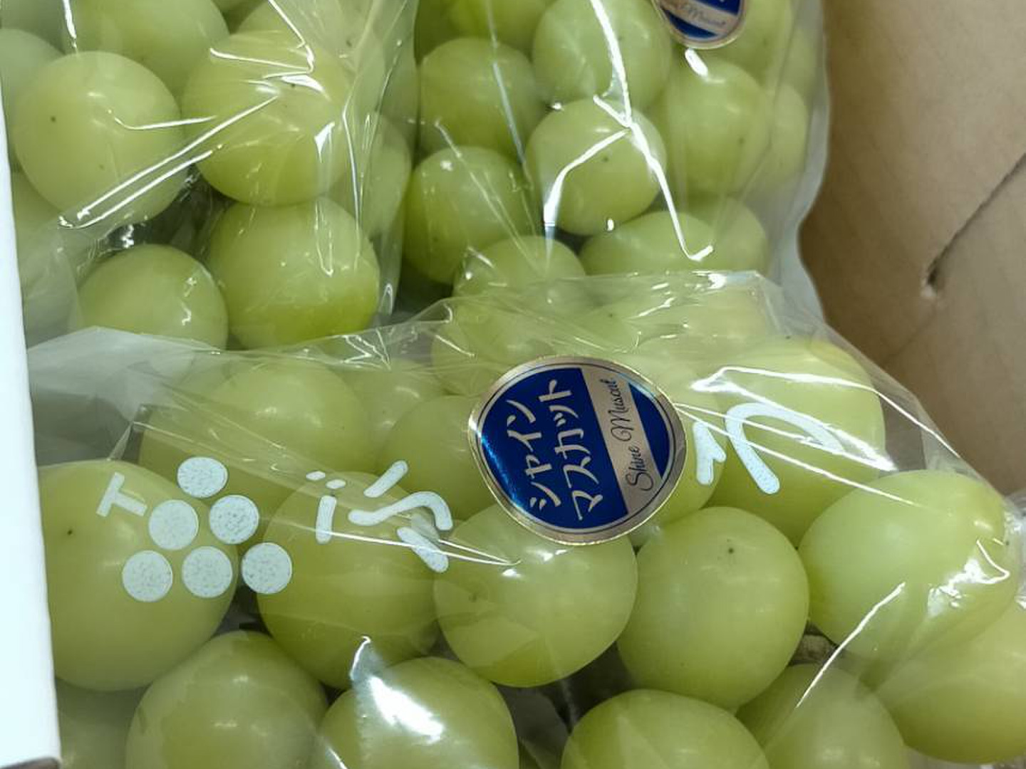 大きな粒が自慢！シャインマスカット(秀品)約2㎏ (3～5房)：長野
