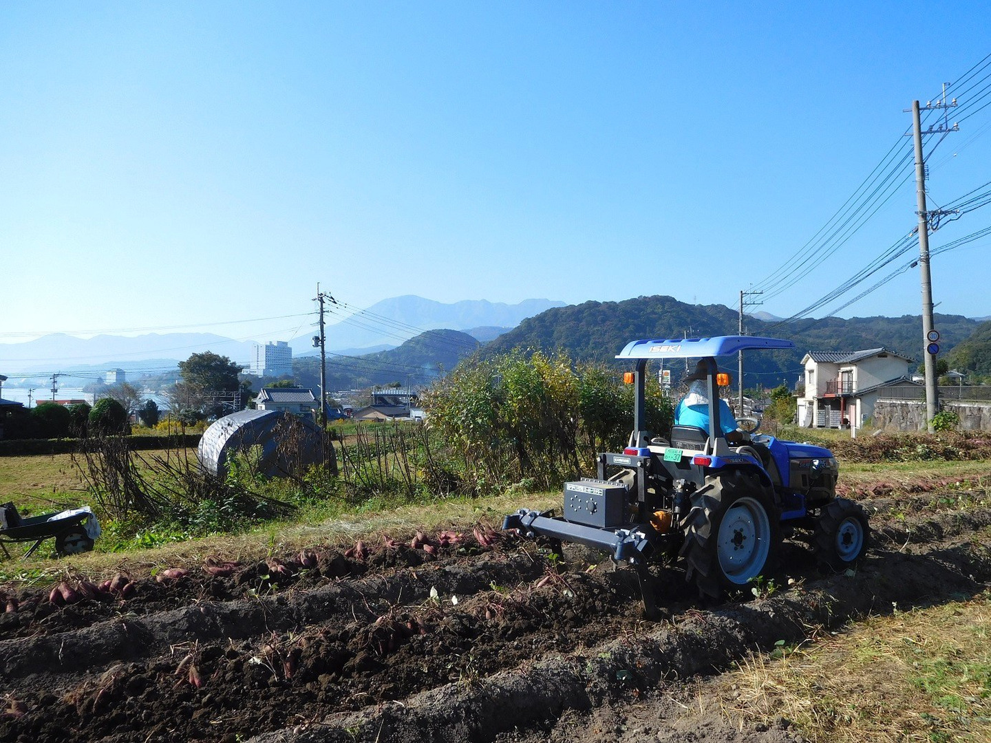 ねっとり極甘さつまいも！熟成紅はるか12kg（S~2Lサイズ不揃い