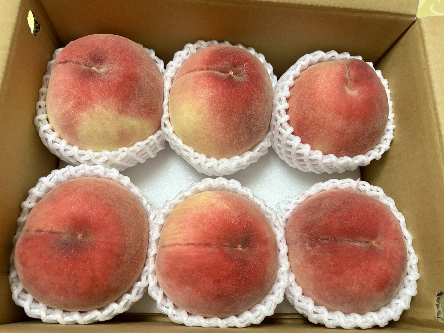 8月上旬】かたい桃「川中島白桃」約2kg6～8玉1箱山梨県南アルプス
