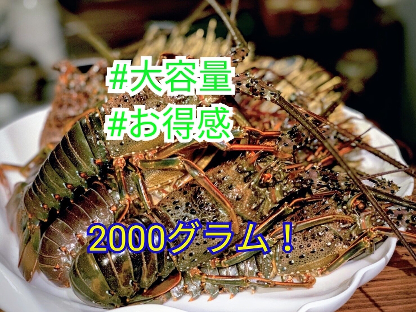 伊勢海老 冷凍 天然 土佐の伊勢海老 | 小・Sサイズ 土佐湾 クール便冷凍で