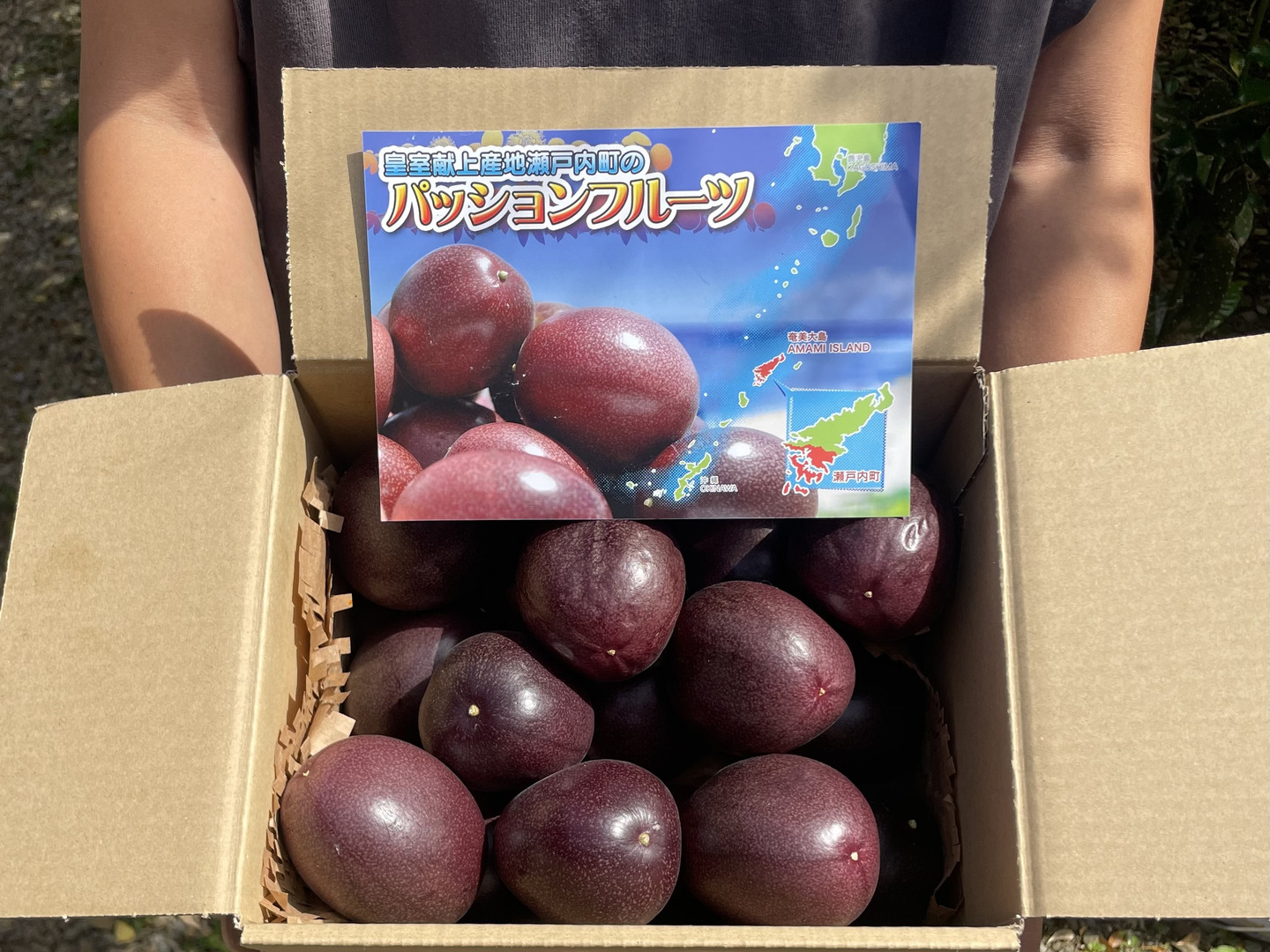 日本最級 キブンは常夏🌈パッションフルーツ（ご家庭用・1.4kg）〜予約 果物