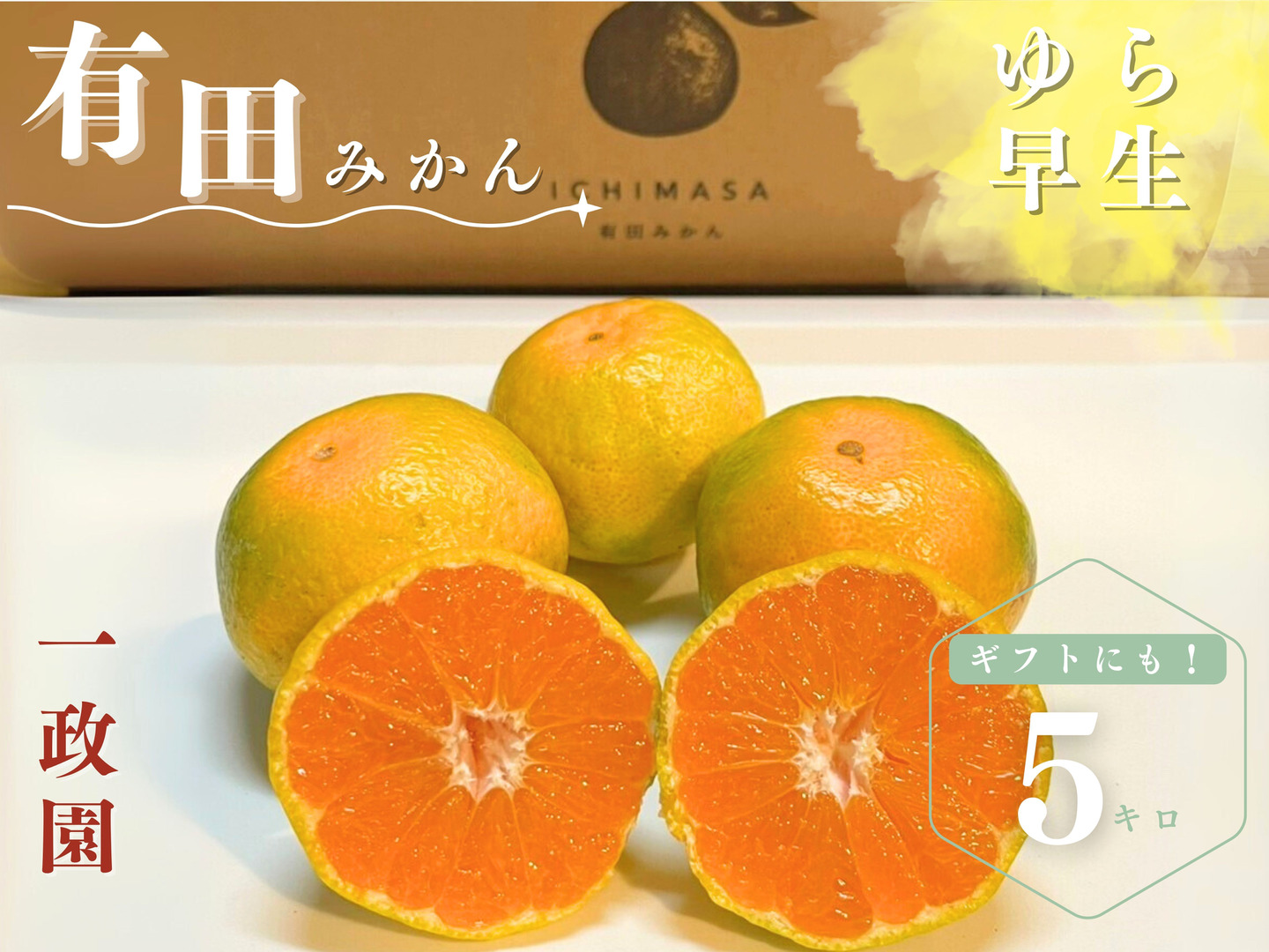 ゆら早生】箱込み5キロ Sサイズ ギフトにも！ 有田みかん 極早生