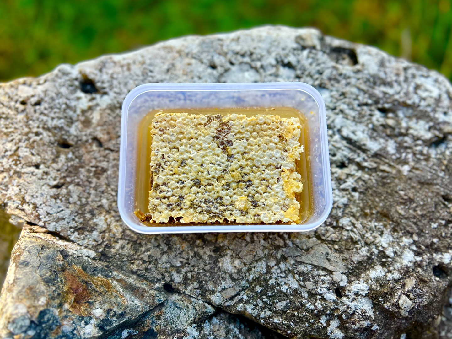 高品質 貴重なニホンミツバチの巣蜜 190g：山口県産のはちみつ｜食べ その他