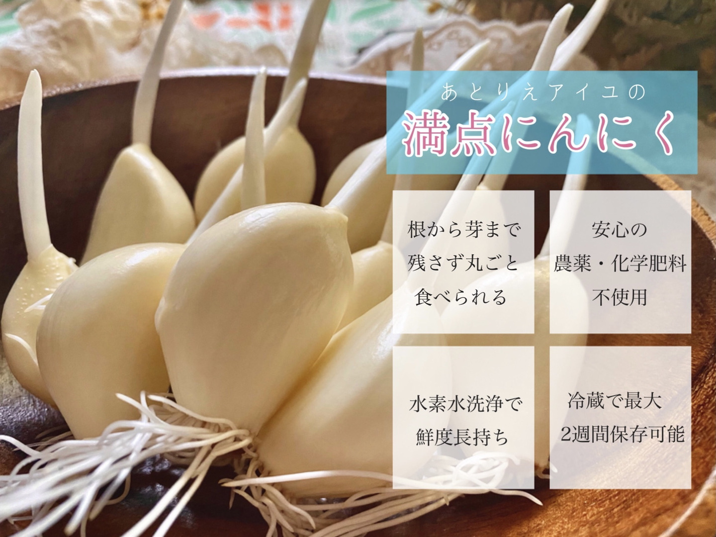 根も葉もまるごと召し上がれ♪「満点にんにく」30本セット(発芽