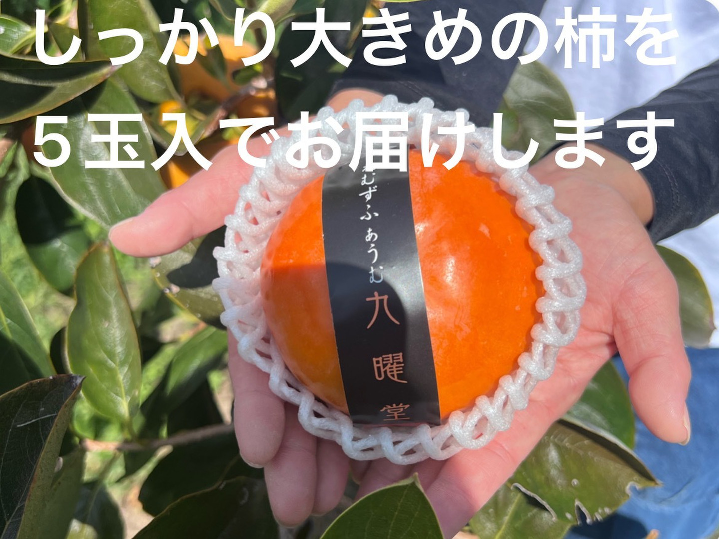 しっかり大きい5玉入・お試しサイズ】濃厚な甘み!石和の富有柿 しっかり大きい5玉入・お試しサイズ】濃厚な甘み!石和の富有柿
