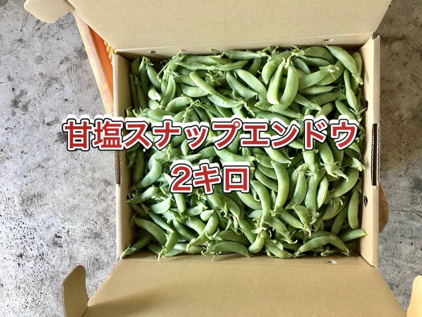 初売り旅行 6a2f5b5c823c1acc84604adc7fbd69 野菜