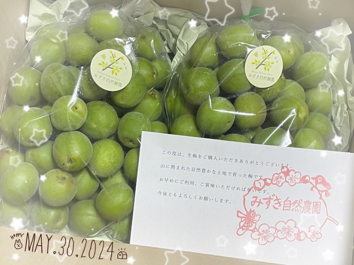 白加賀＆月世界/青梅 自然栽培 農薬不使用、化学・動物性肥料不