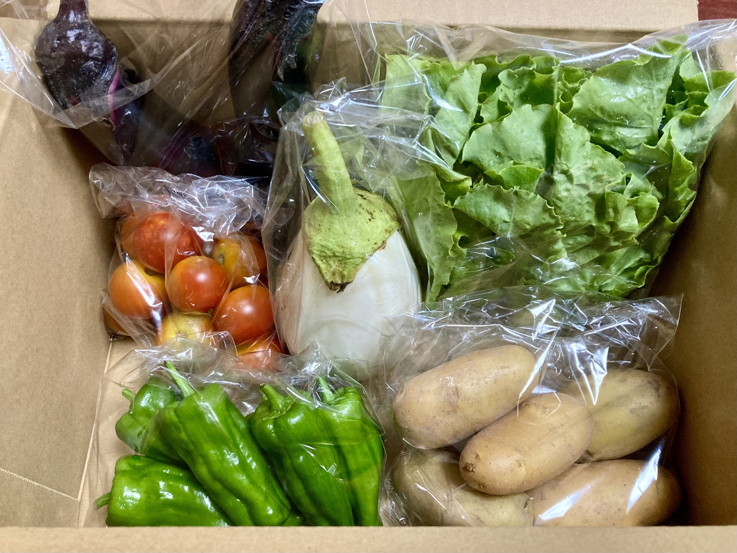 専用　旬野菜　新じゃがセット 旬野菜8品入った野菜セットS - 有機生活ネット