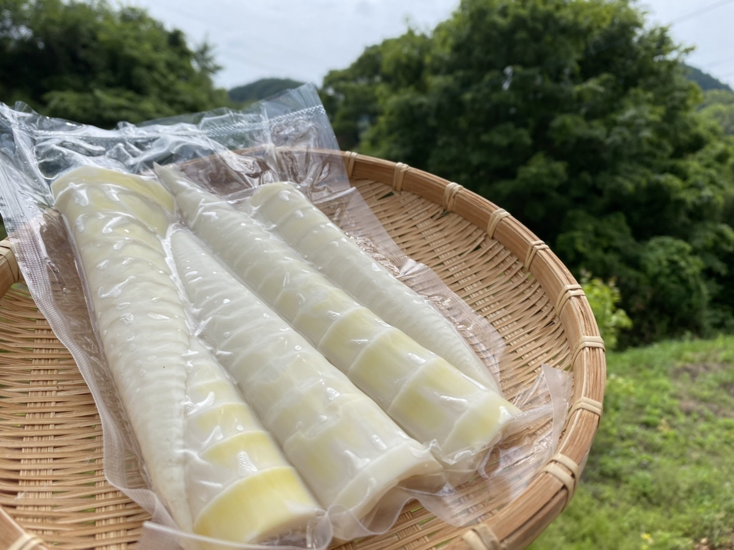 【訳あり】 8e119805def134ab105d43f3bbc2b9 野菜