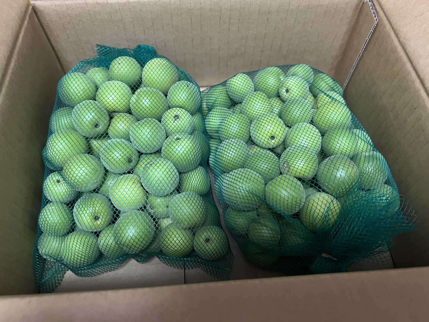 山形県産　青梅　9キロ Amazon | 竹城青果 山形県産 加工用 青梅 3kg | 竹城青果 | 梅の