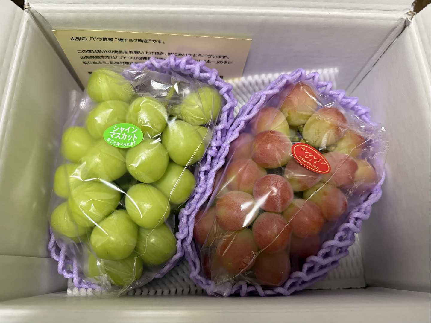 数量限定【山梨県 笛吹市産】2品種セット サンシャインレッド