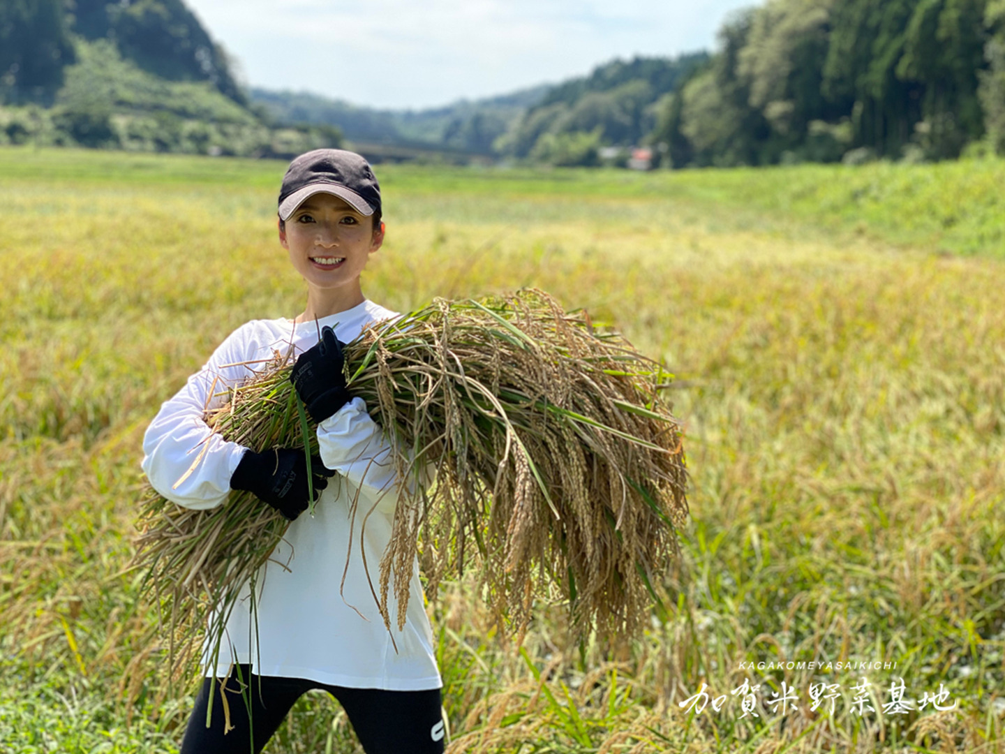 令和6年産】☆お米番付優秀賞受賞農家☆「農薬・化学肥料不使用