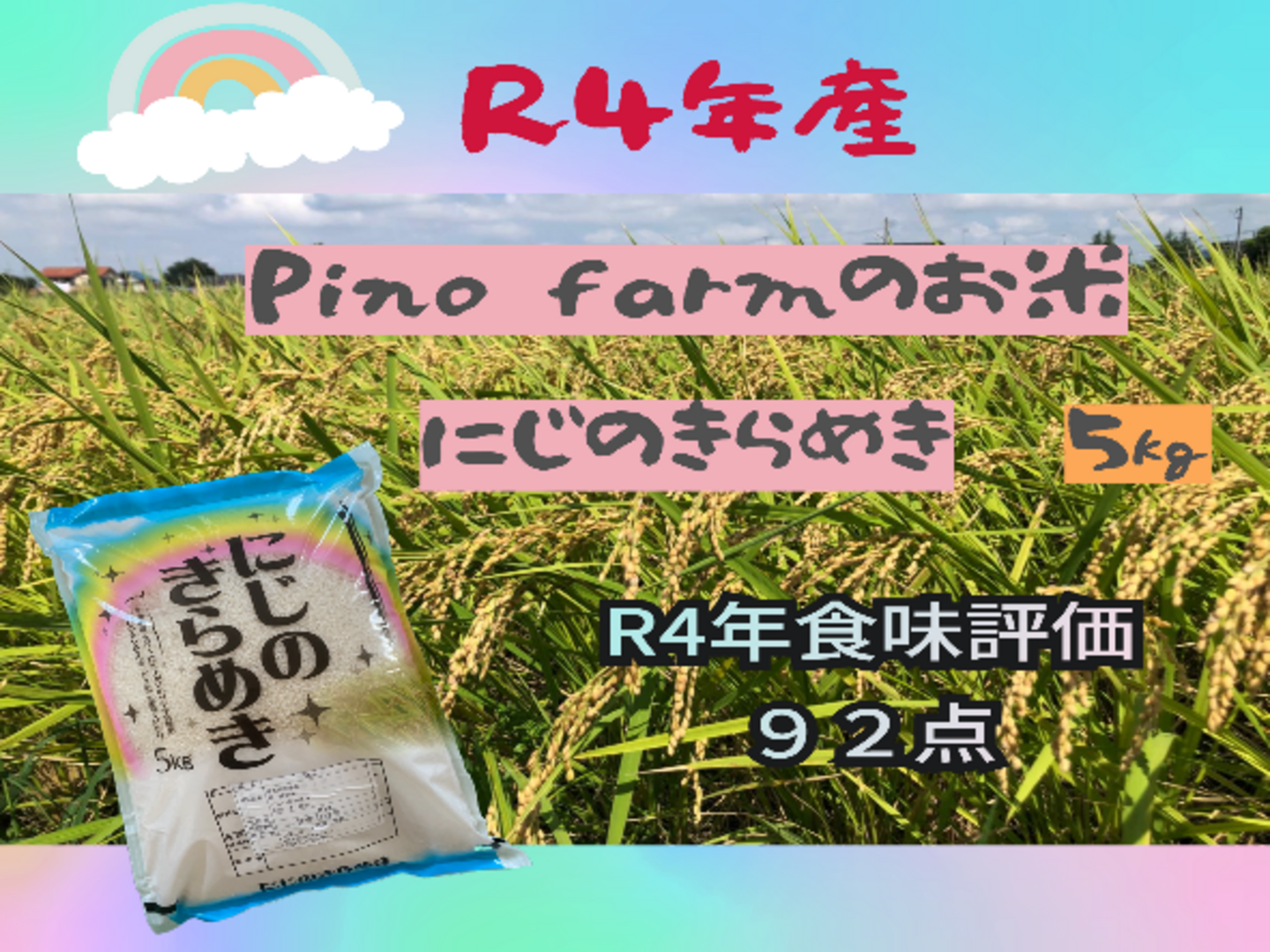 大粒でおいしい新品種！ R4年産にじのきらめき(ビニール袋）5
