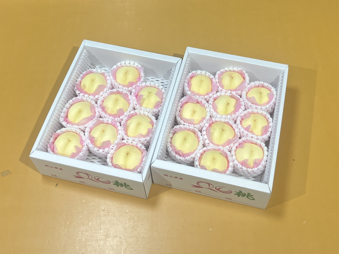 🍑🍑おかやまの白桃 中箱【6〜11個】2箱セット【ご自宅用】：岡山県産