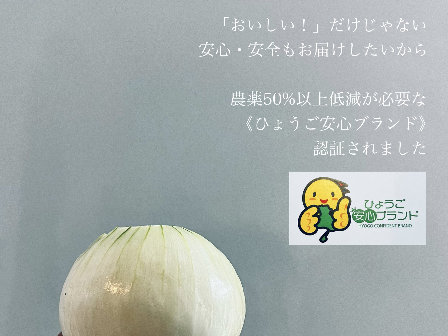ひょうご安心ブランド認証☺︎】淡路島 大人気 新玉ねぎ 七宝