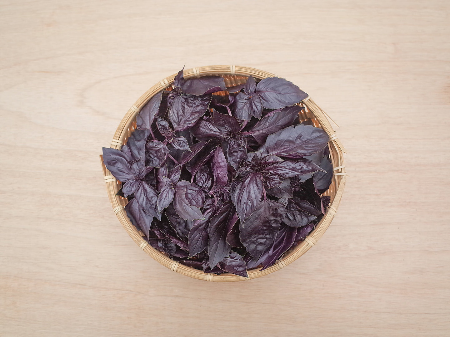 採れたて！新鮮ダークオパールバジル 100g 【農薬化学肥料不使用