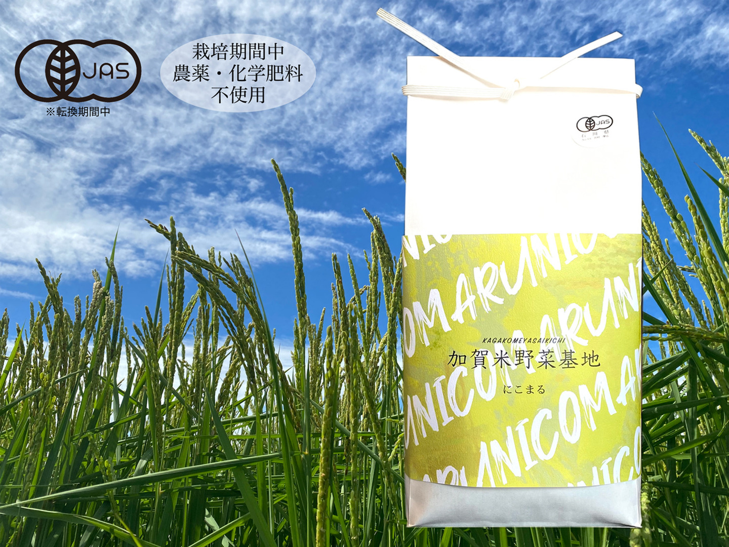 令和6年産 新米】☆お米番付優秀賞受賞農家☆「農薬・化学肥料不