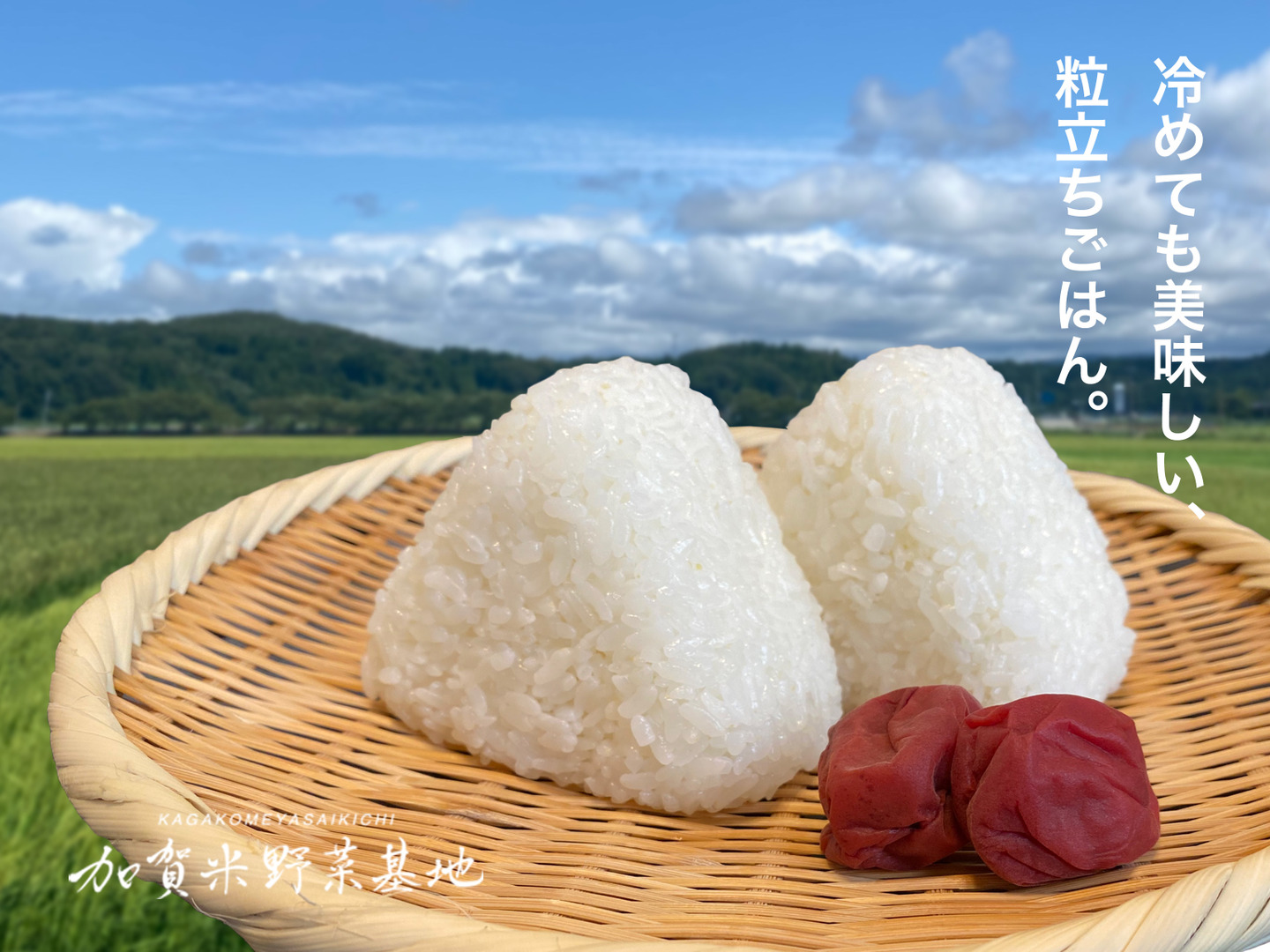 令和6年産 新米】☆お米番付優秀賞受賞農家☆「農薬・化学肥料不 令和6年産 新米】☆お米番付優秀賞受賞農家☆「農薬・化学肥料不