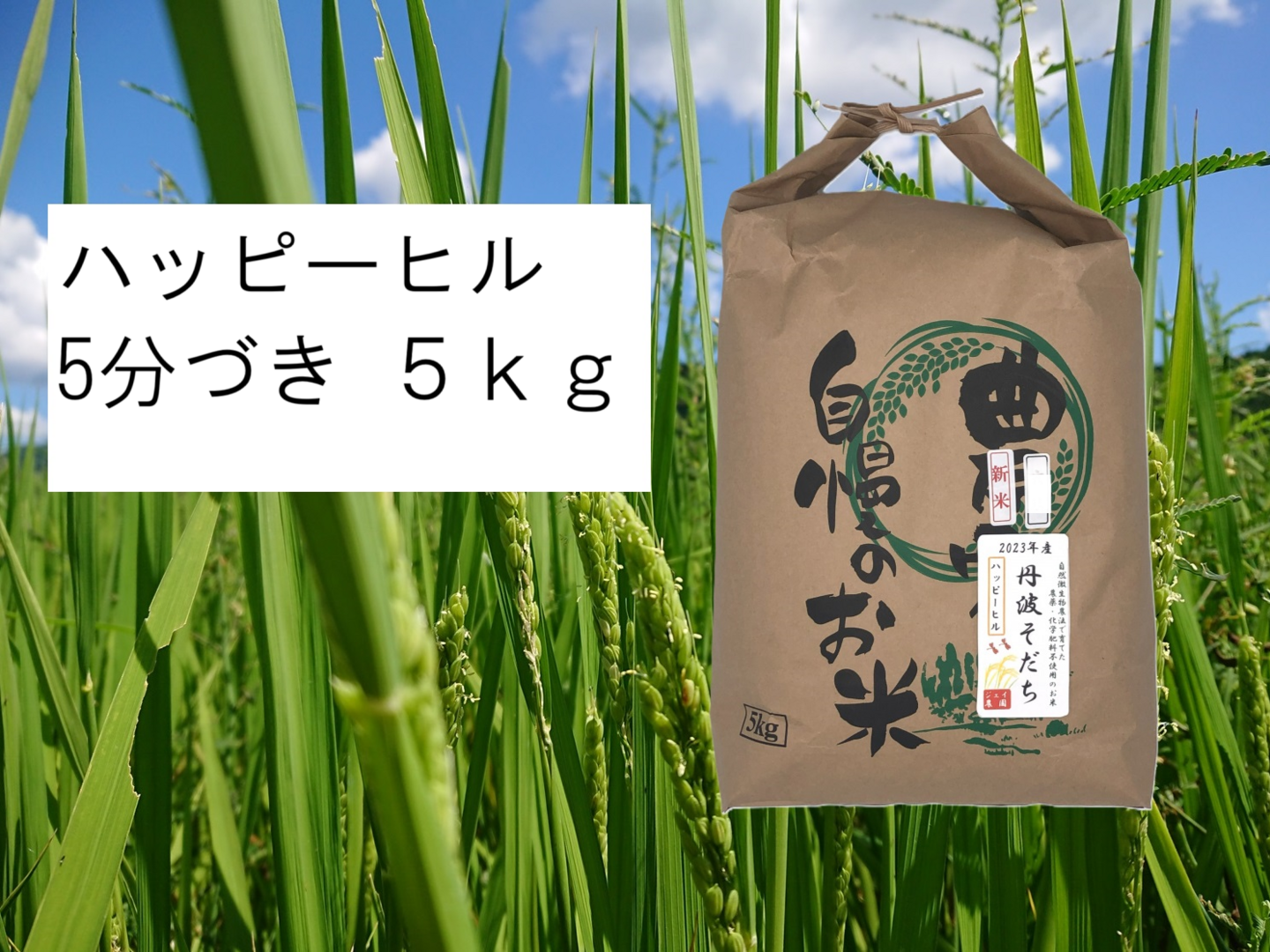 2024年産】自然栽培のお米『ハッピーヒル』5分づき5kg：兵庫県