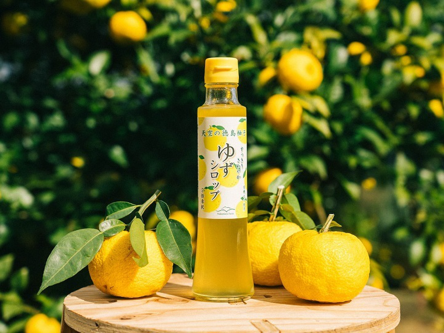 e9e8d79bcd6bbc2d92ca979e3e1849