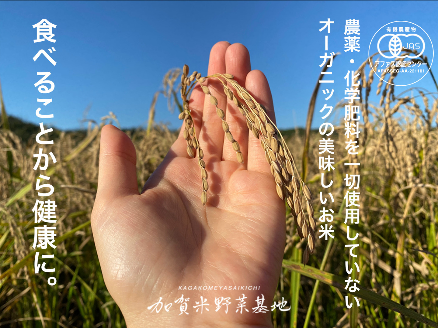 effbe2af0a9a7649f5f92abc7ecb82