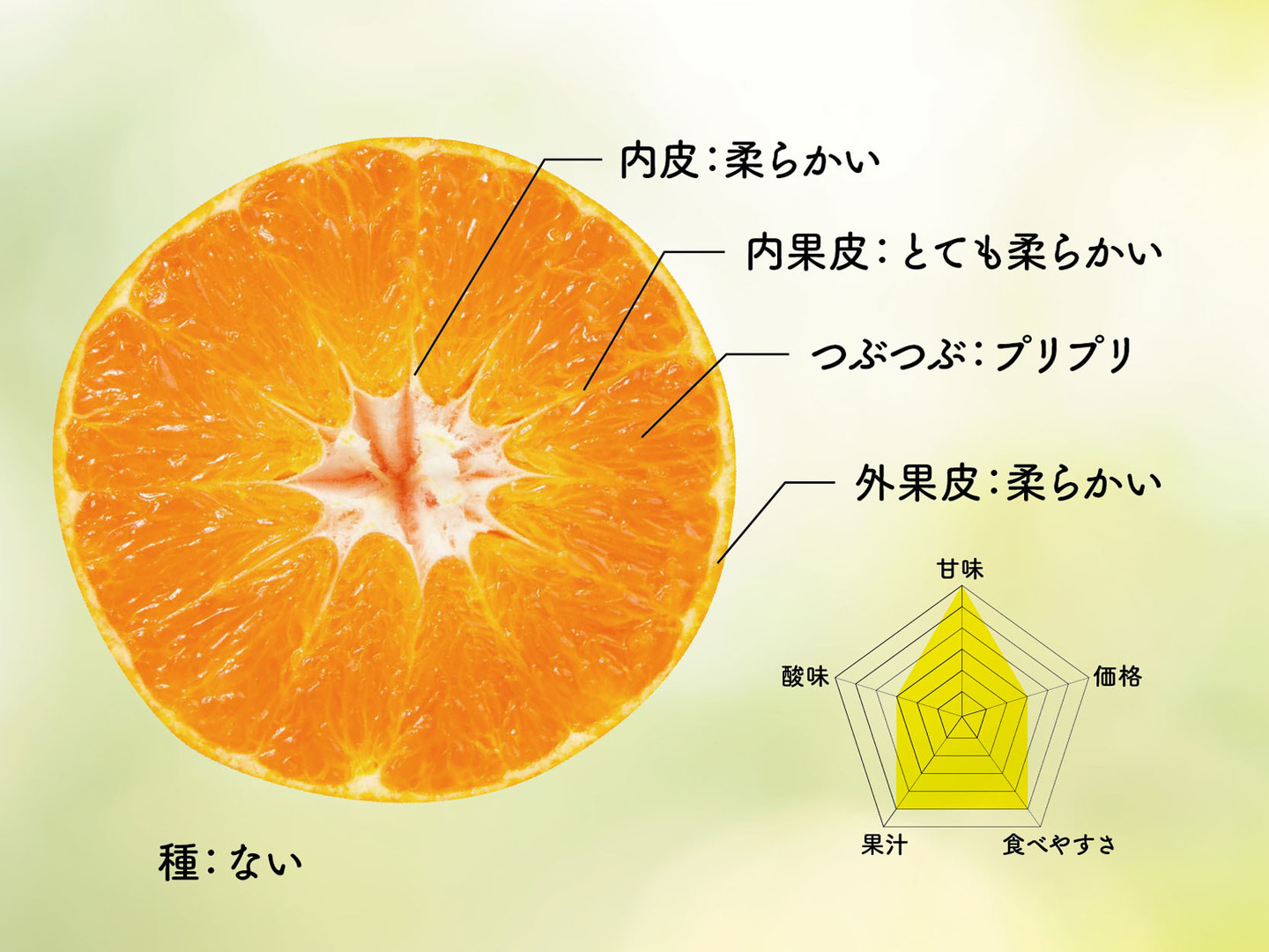 そらデコ不知火【天空のデコ不知火】愛媛産みかん サイズ混合3kg