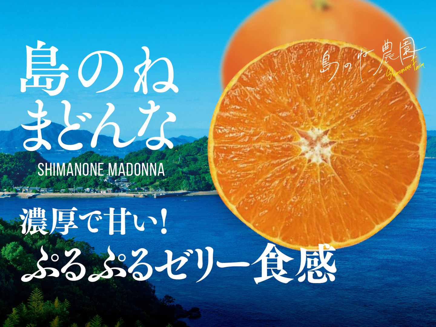 Amazon.co.jp: 紅まどんな 家庭用 【 約5kg 】 愛媛県産 幻の 最