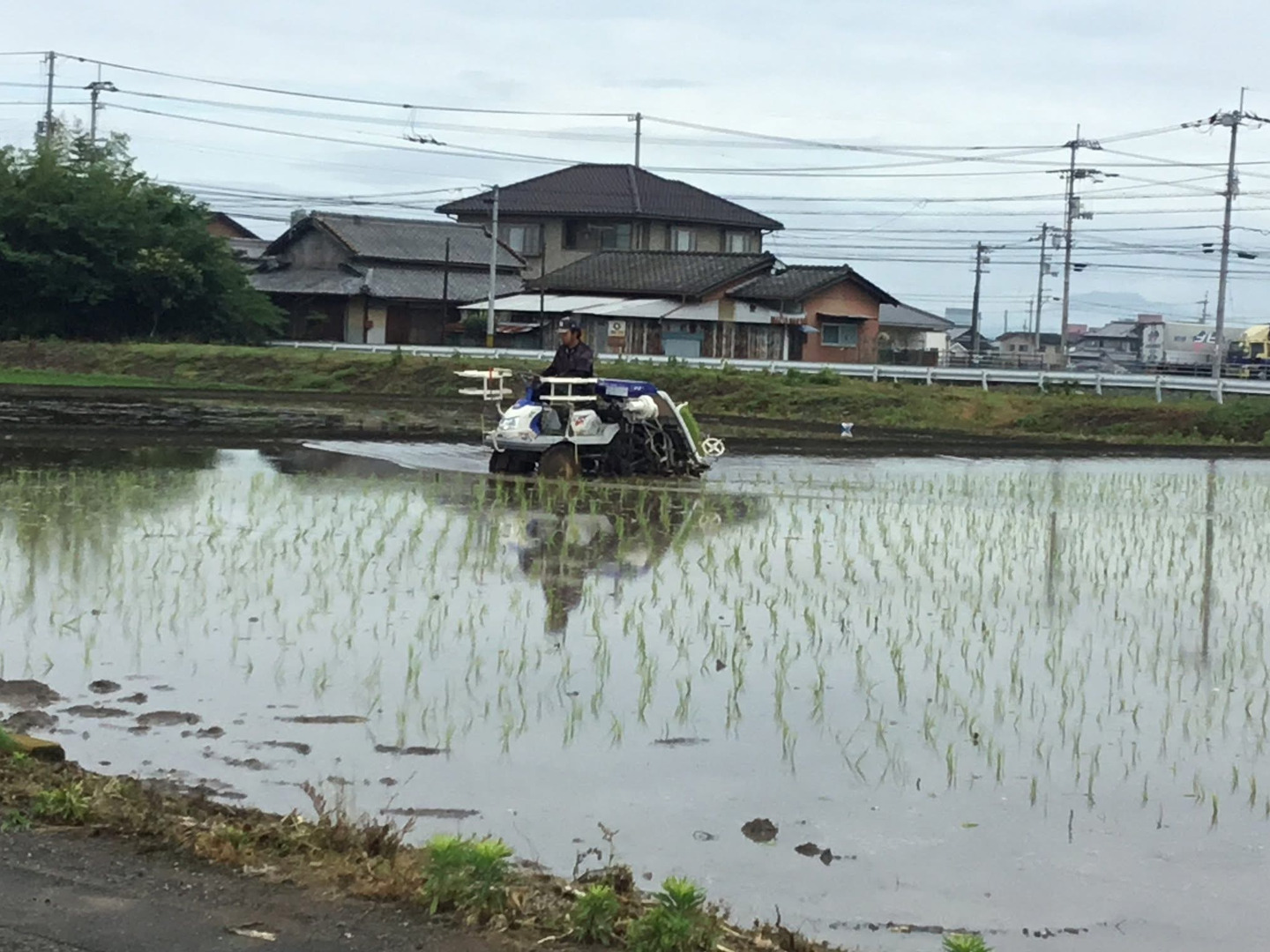 2025年🌾 香川県産コシヒカリ白米24kg新米！！予約開始🏃‍♀️1