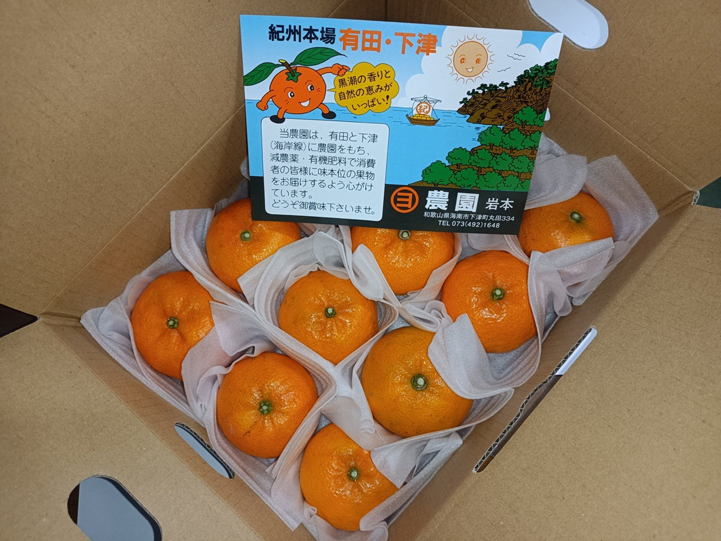 【公式】フジのお歳暮・冬ギフト 超希少/新品種】マコポン 紅モンスター 2kg(10個前後)和歌山県 果物