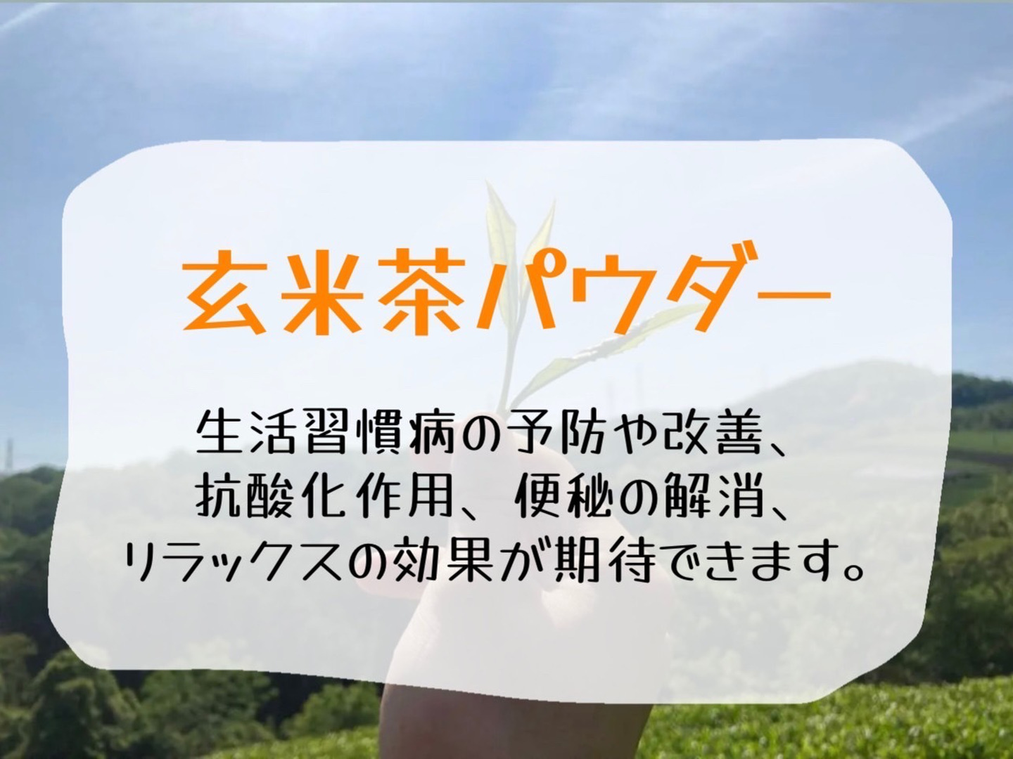 溶かすだけ簡単パウダータイプ】香ばしさと旨味の逸品！玄米茶