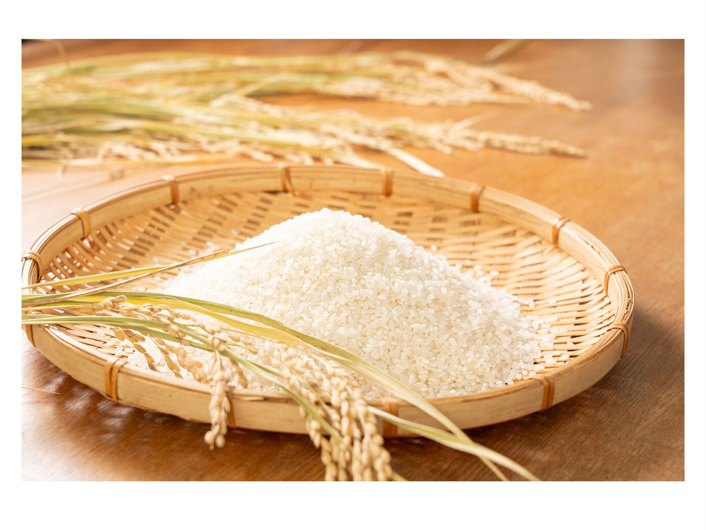 令和7年新米】とちぎの星(30kg)白米｜令和の大嘗祭献上米品種