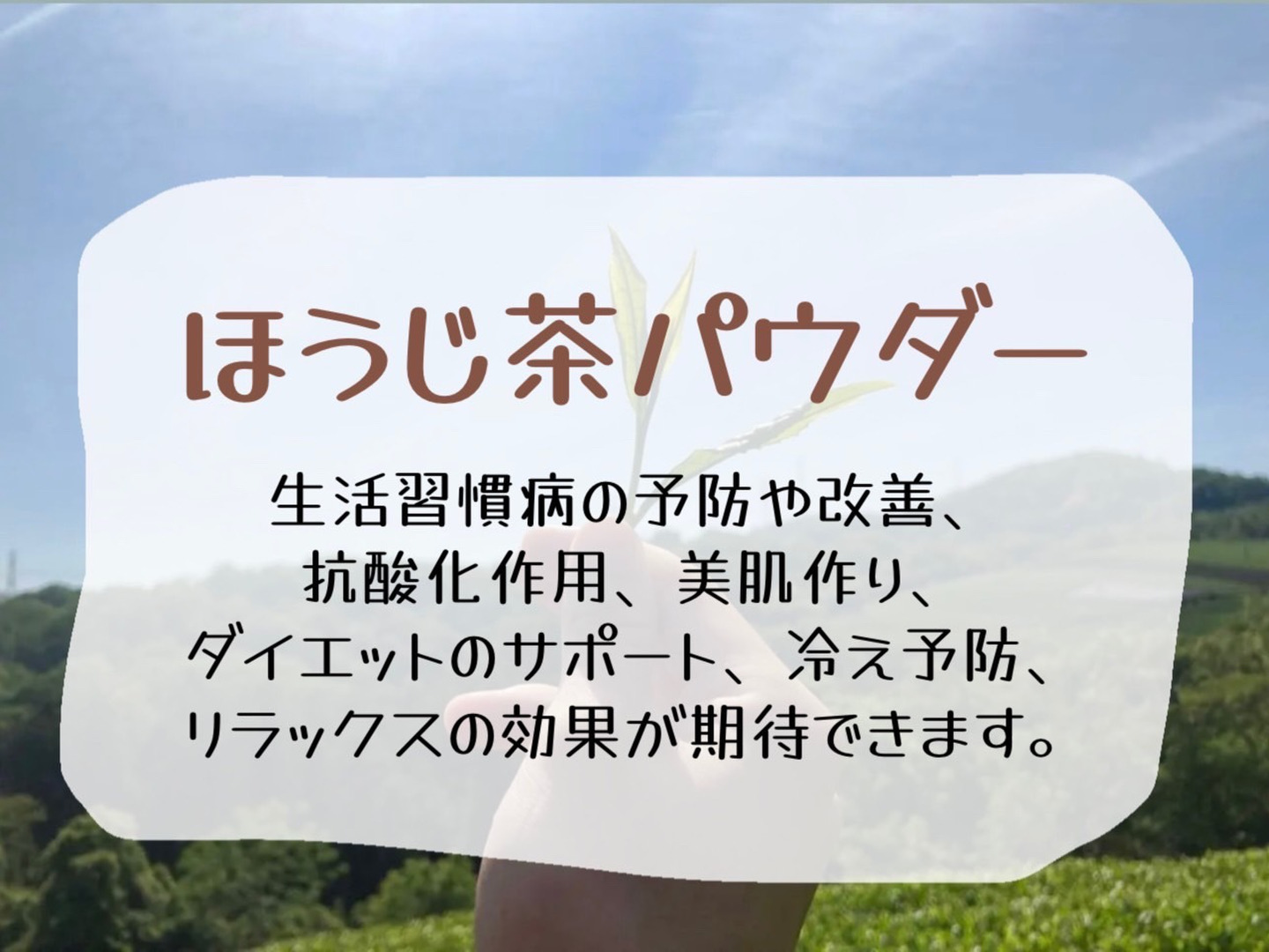 農薬不使用お茶＊ほうじ玄米茶ラテ 化学肥料不使用 宇治茶100