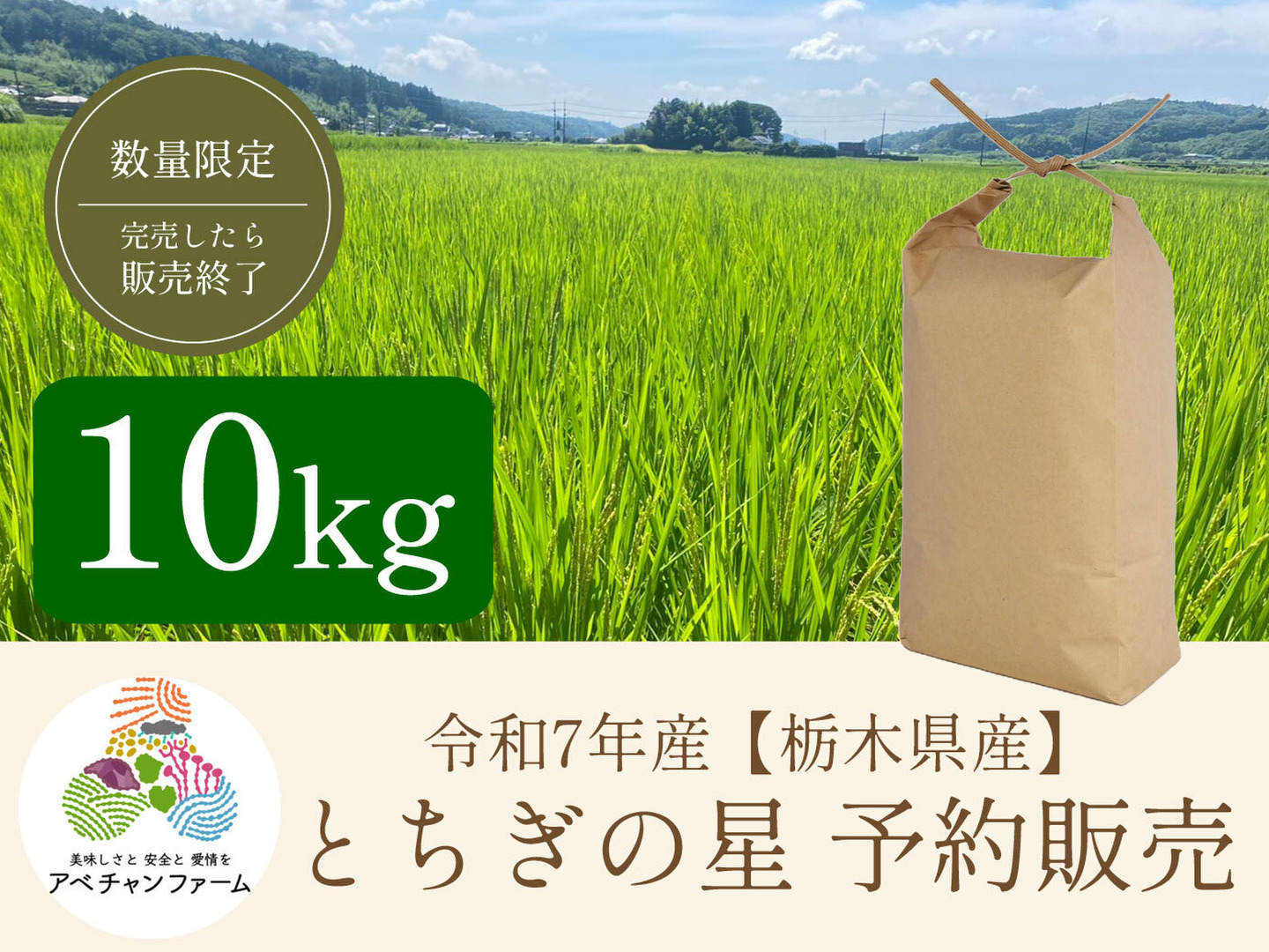 令和6年 栃木県産 ブランド米 とちぎの星 20キロ 令和元年度天皇献上米 楽天市場】新米 米 5kg 送料無料 とちぎの星 令和6年産 栃木県産