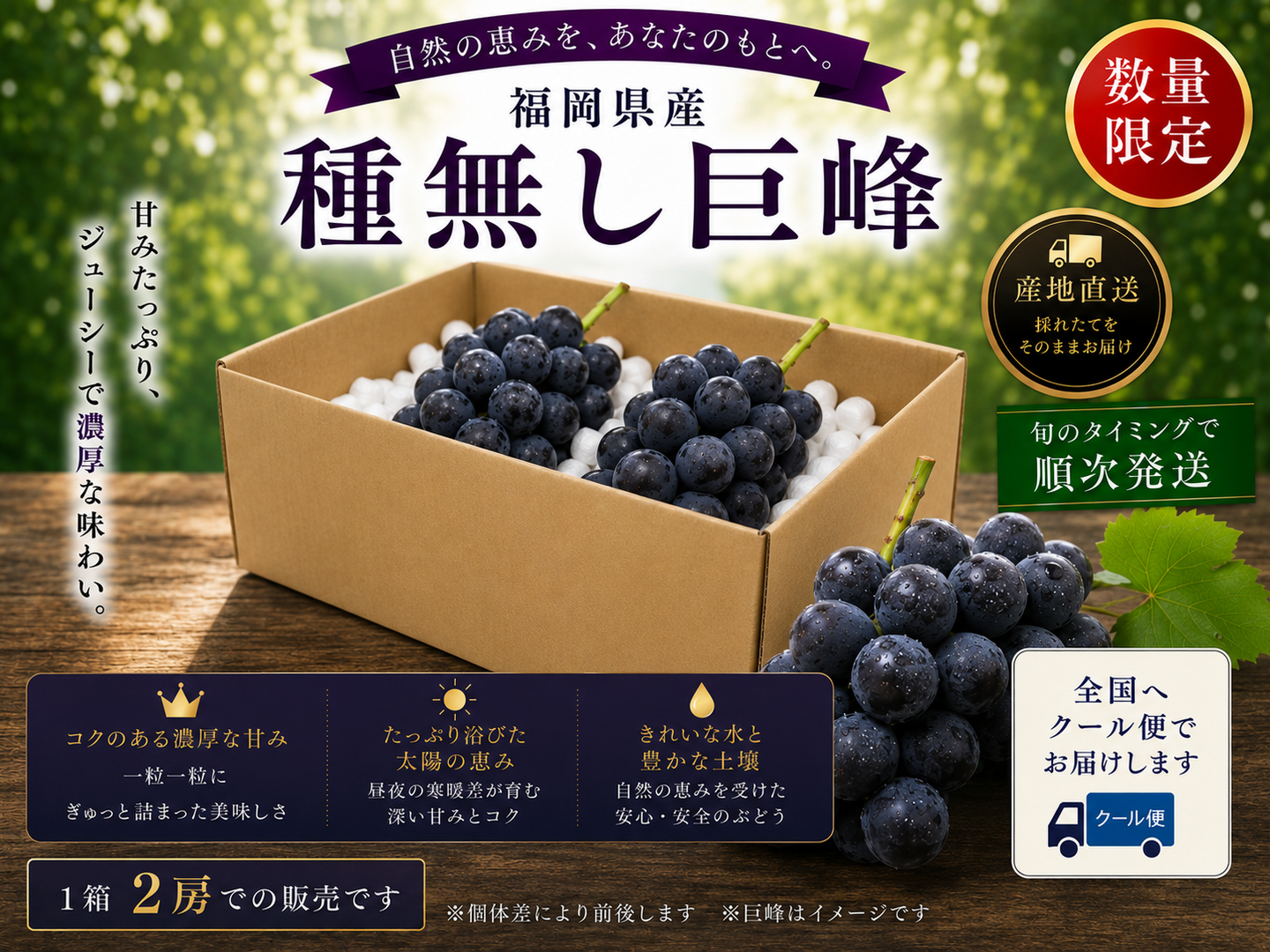 夏ギフト】【先行予約受付中】旬の高級ぶどう/種無し巨峰 2房：福岡県