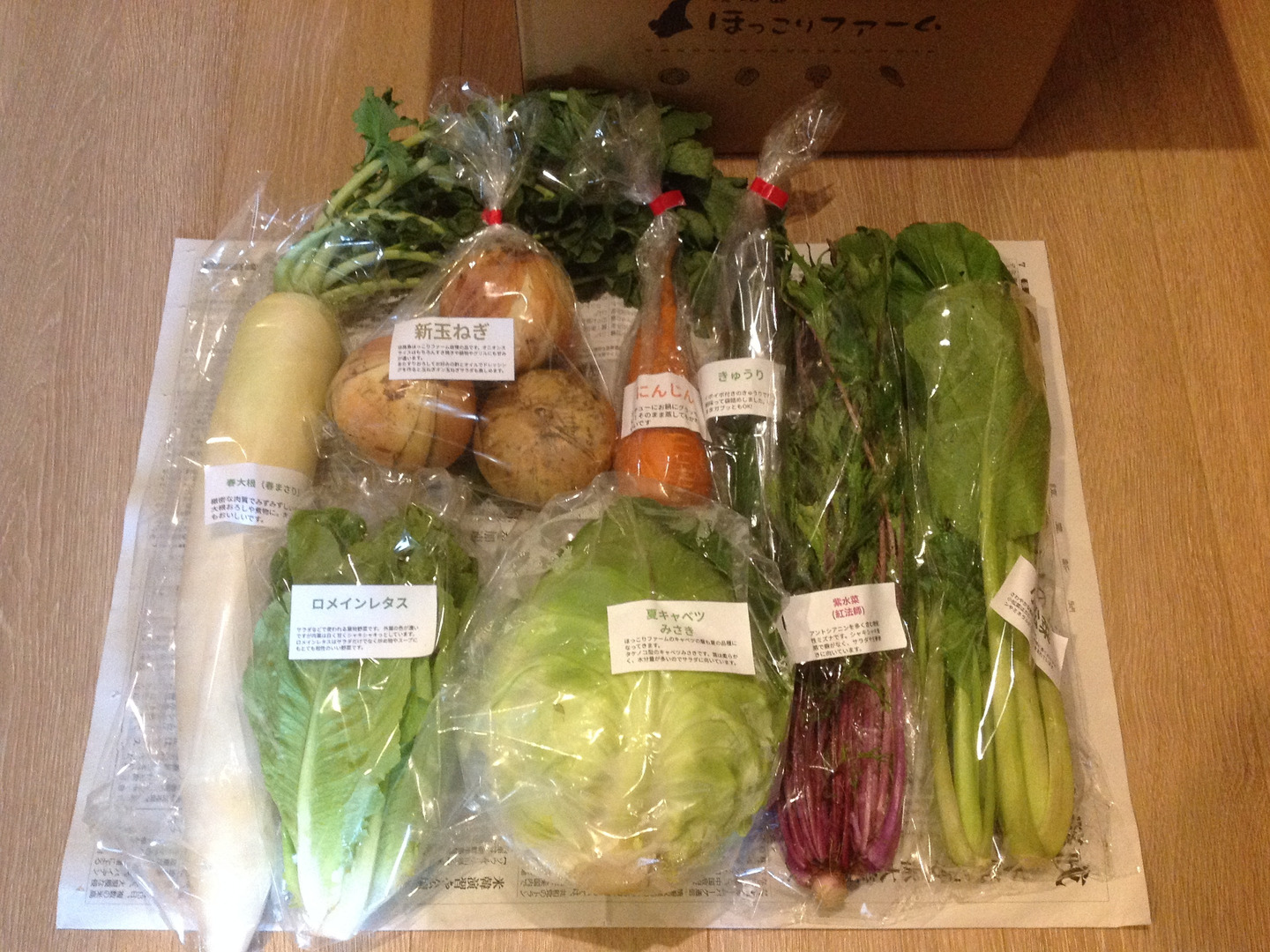 淡路島より旬をお届け】お任せ野菜セットSサイズ：兵庫県産の