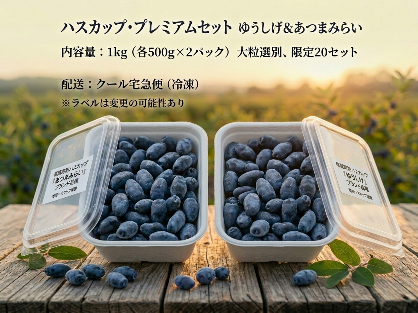 ハスカップ 2キロ 濃厚で爽やか！希少ハスカップ2種食べ比べセット 1kg（あつまみらい