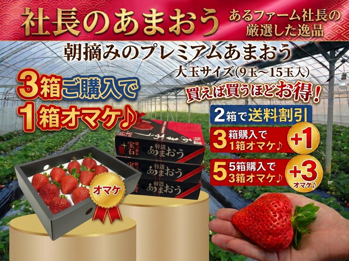 3箱購入で・1箱オマケ】超大玉プレミアム あまおう【社長のあまおう】9