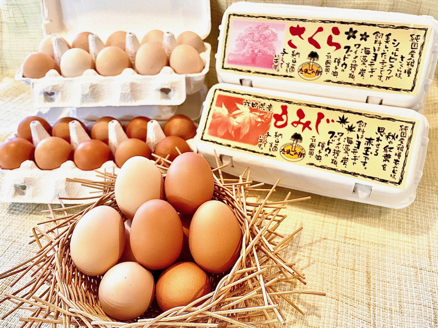 爆買いしたい 純国産鶏種「もみじ」18個、「さくら」18個（各10個入れ2パック カードファイト!! ヴァンガード