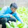 田歌舎