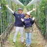 宝Farm