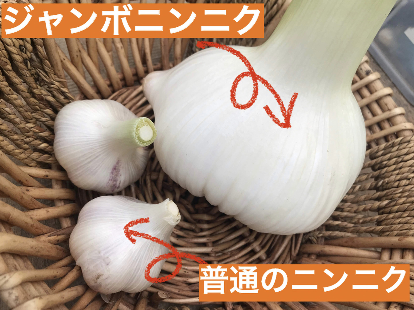 52f91f46b8e73c926fba80f9e77267