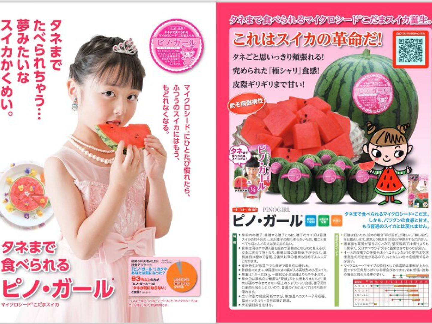 予約受付】甘～い尾花沢小玉すいか 2~3Lピノガール 1玉 山形県産