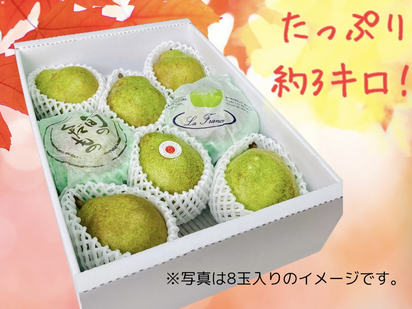 訳あり・アウトレット特集 🍐濃厚ジューシー！山形県産ラフランス【約3kg・8〜9玉入り 果物