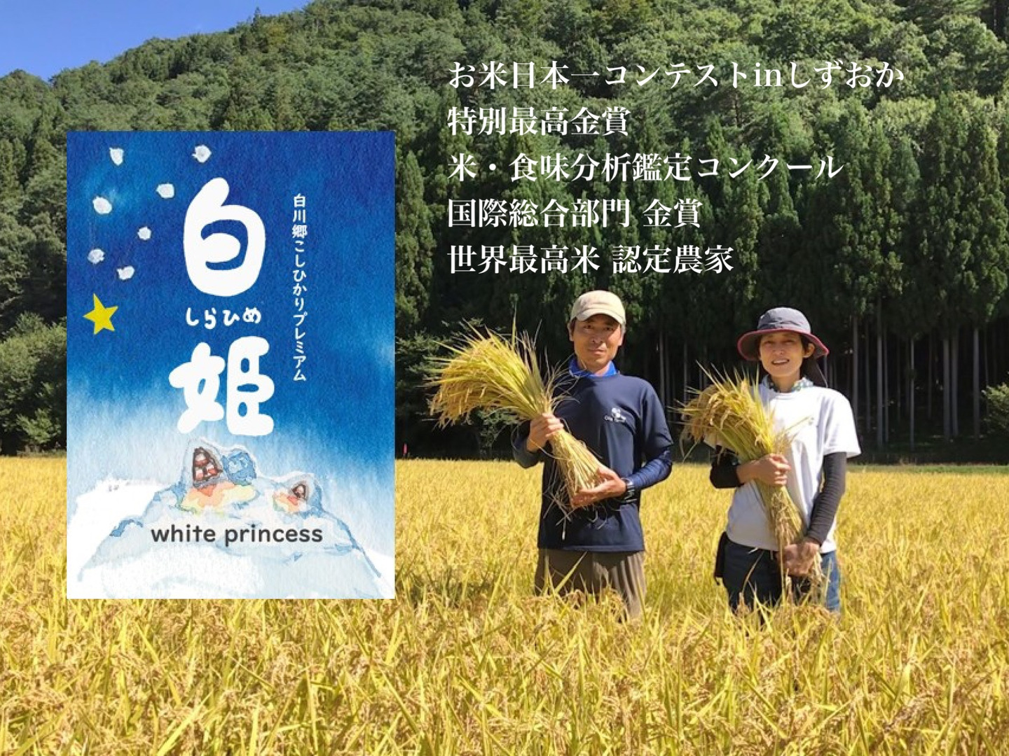 令和7年産 新米予約 世界最高米にも選ばれた⭐︎白姫