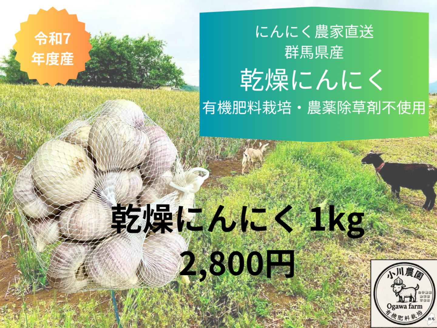 令和7年度 群馬県産 乾燥ニンニク 有機肥料栽培 農薬化学薬品無