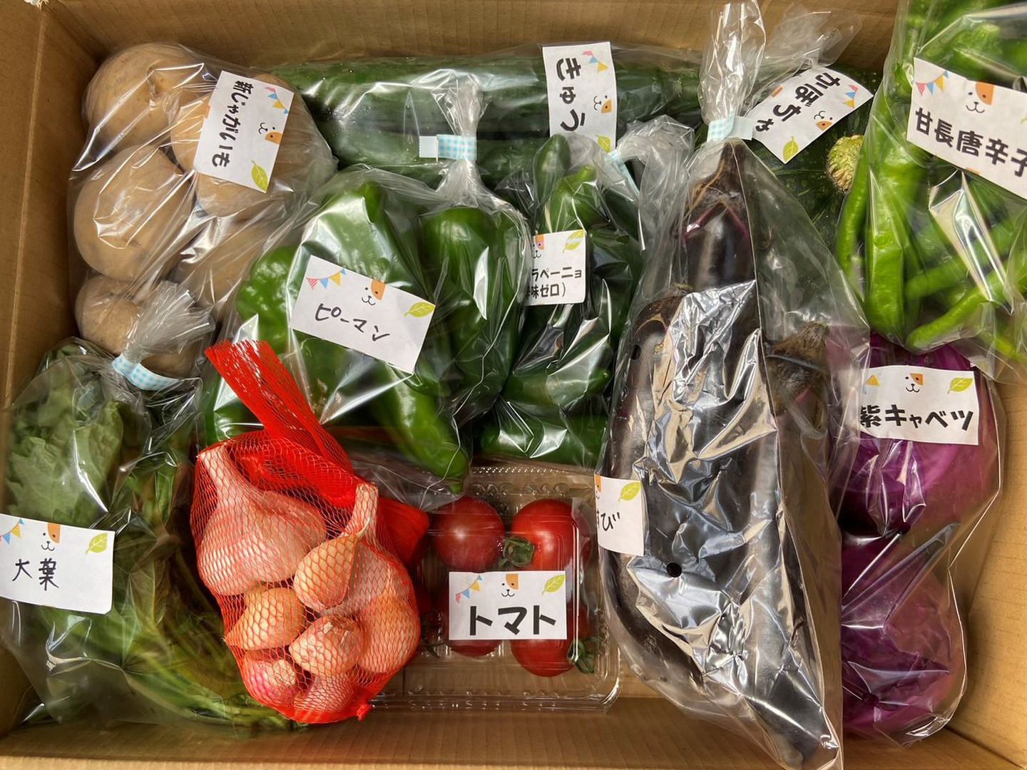 数量限定】お得いっぱい！夏野菜詰め合わせ箱☆🥗🍠🥦＋かぼちゃ付き