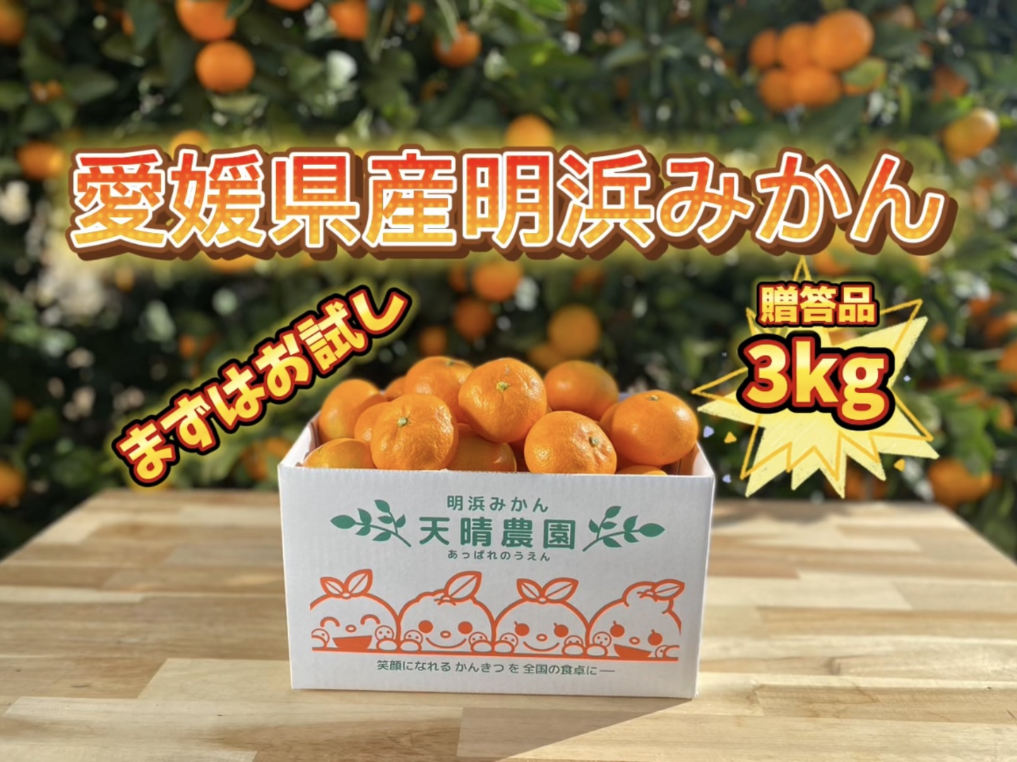 明浜産 浜のみかん屋直送 減農薬温州みかん（5kg） - 愛媛県西予