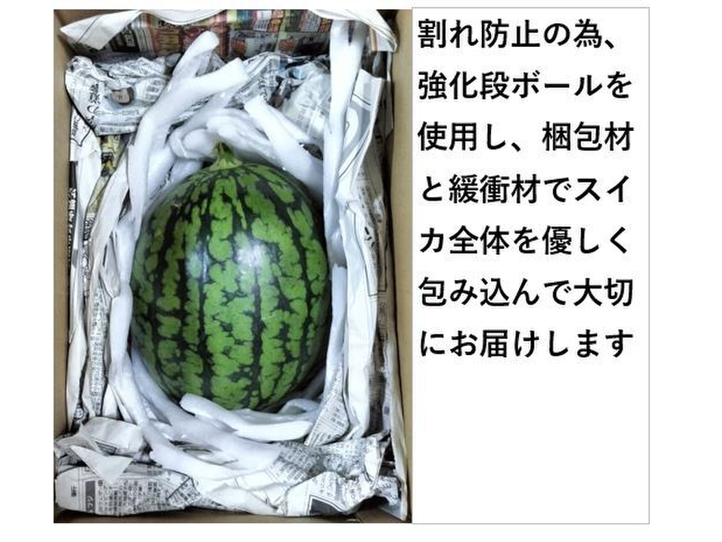 福袋2025】小玉スイカ シャリっと甘い！あきた夏丸チッチェ