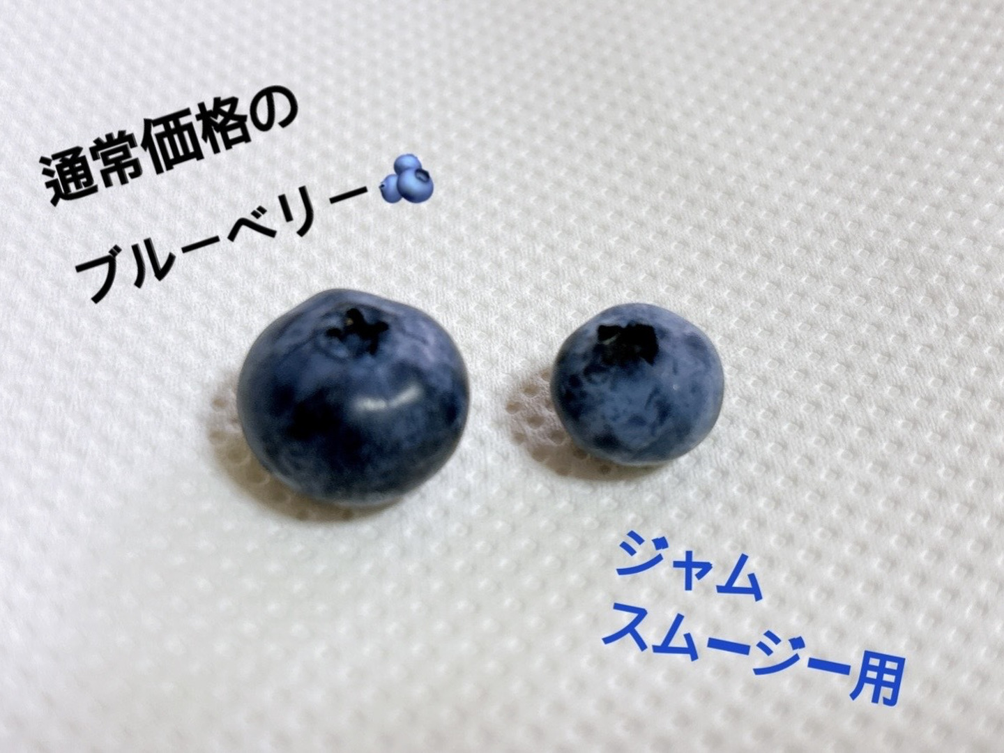 安全、新鮮なブルーベリー 3キログラム早朝摘み取り午後発送 食品 安全、新鮮なブルーベリー 3キログラム早朝摘み取り午後発送