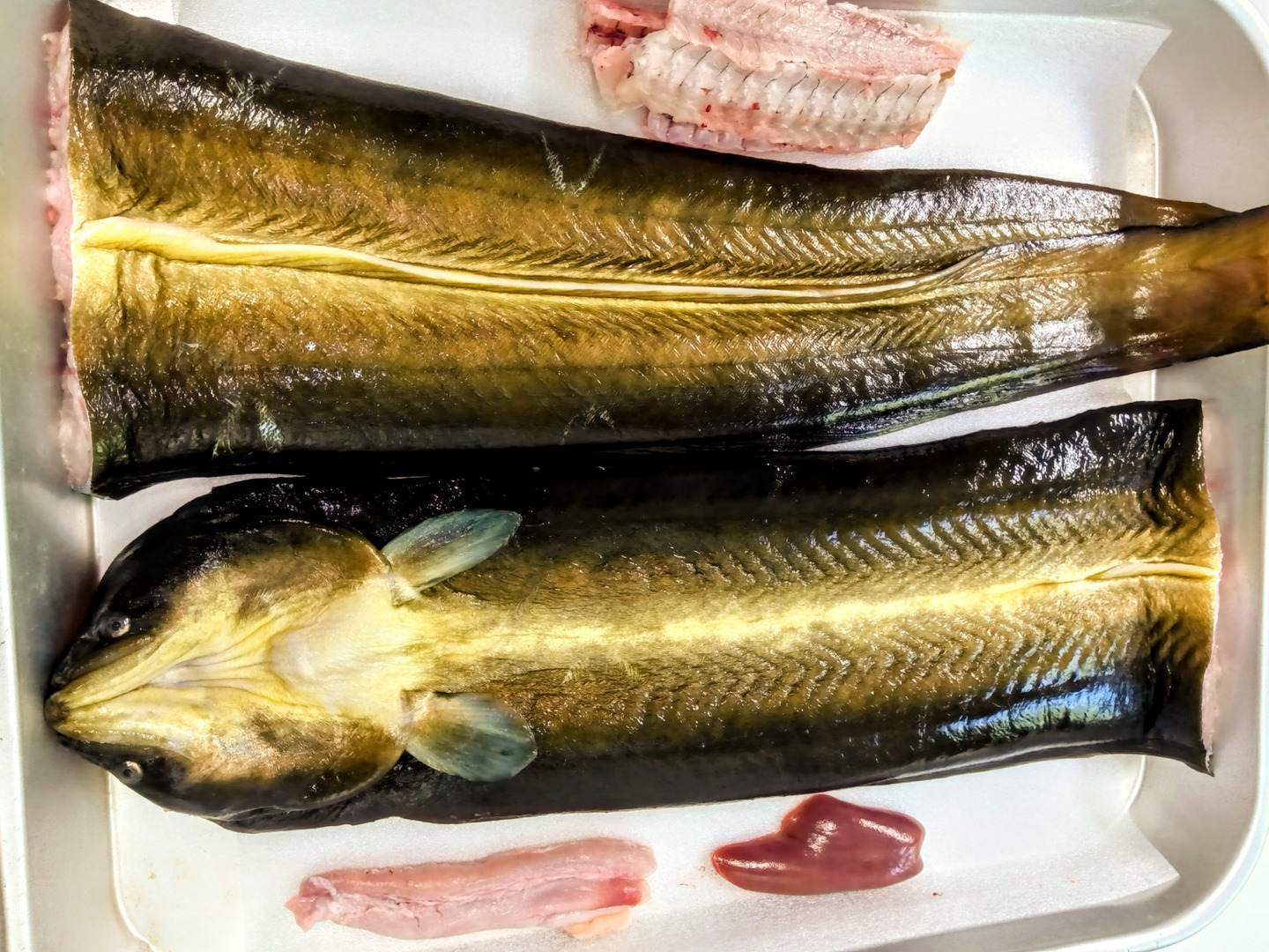 愛知県産　天然川ウナギ　３１２ｇ　　！！ 国産うなぎの通販サイト愛知県三河一色 うなぎの兼光